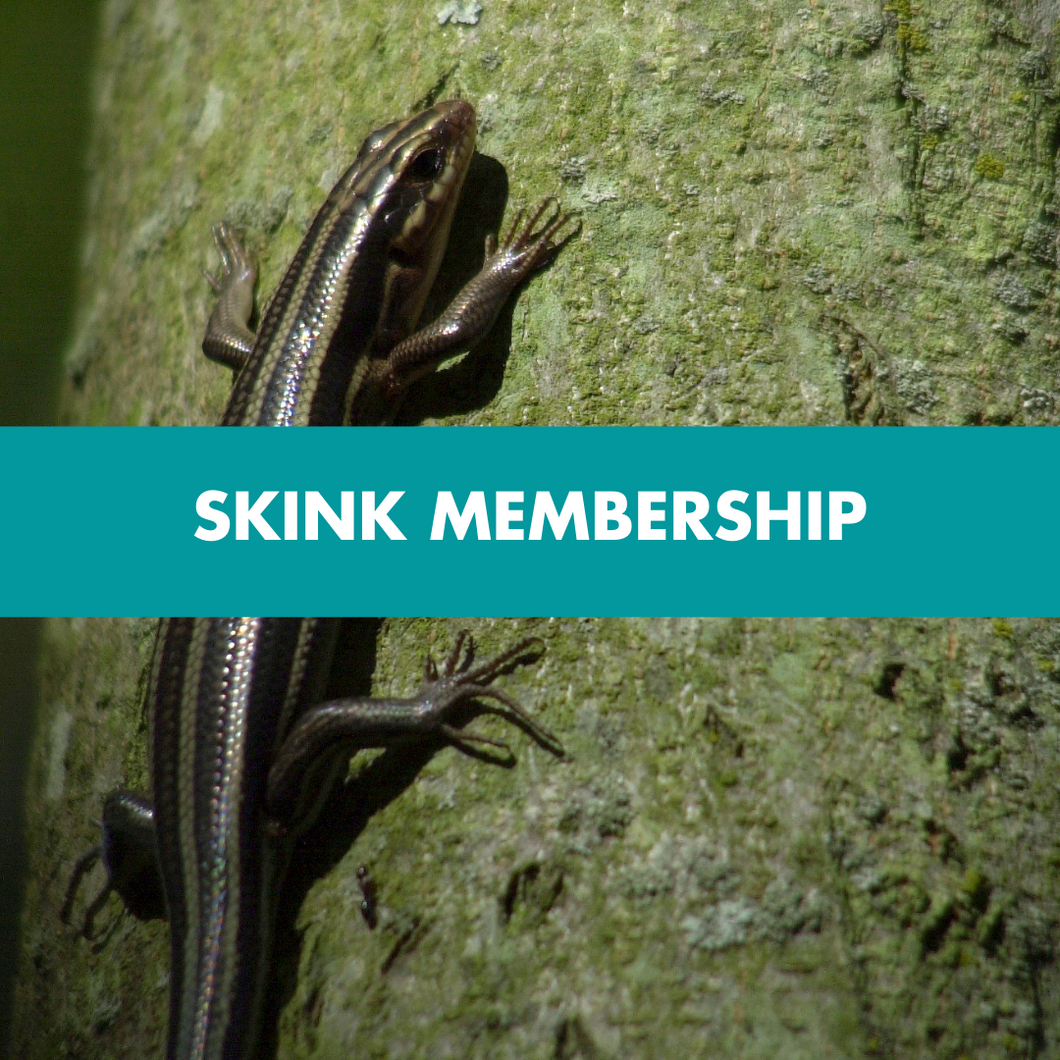 Friends Membership